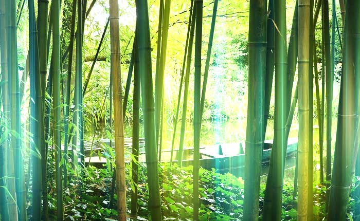 恋人とやり直す復縁の相談