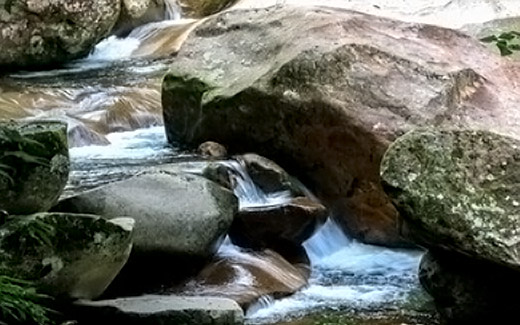 須雲川霊能者